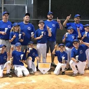 Meet your Posher, Lynn